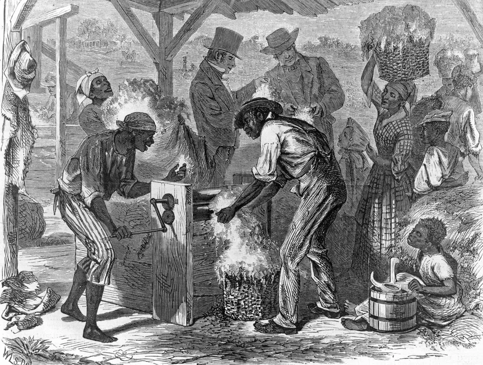 slaves-African-cotton-gin-Harpers-Weekly-drawing.jpg