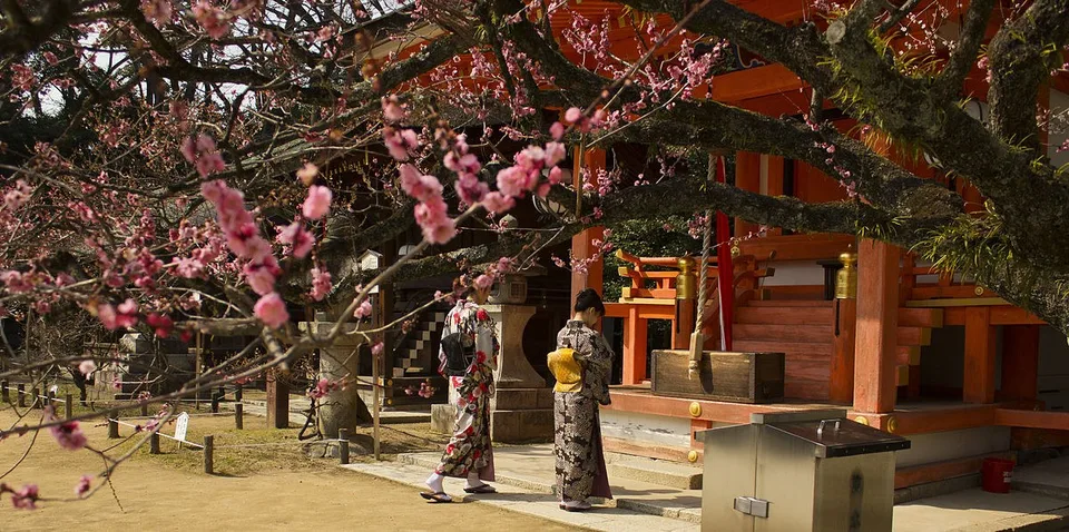 Plum_trees_Kitano_Tenmangu.jpg