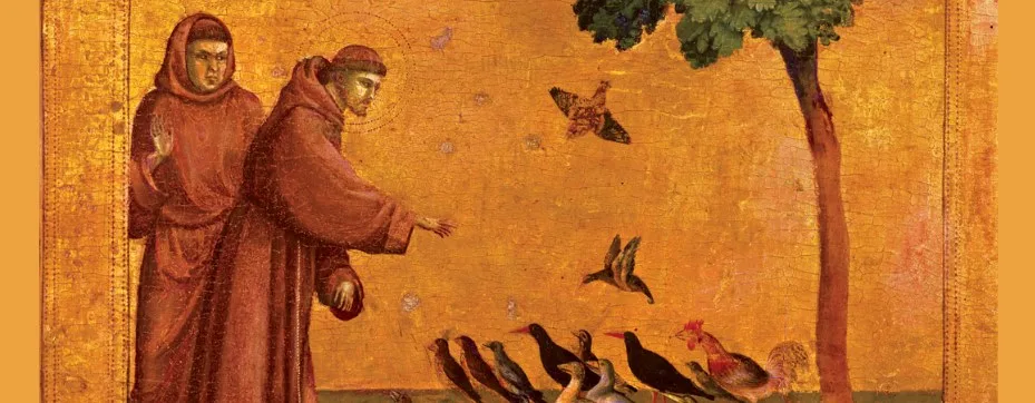 Assisi_Banner.jpg