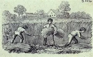 f256577a058283a8423d594af3209143.jpg